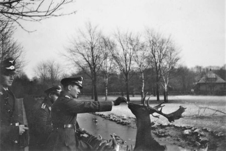 HVB FO 00241  Militairen van de Luftwaffe bij het hertenkamp