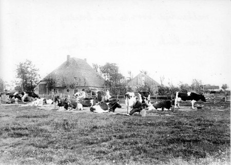 HVB FO 00257  Stolpboerderij aan Kerkedijk