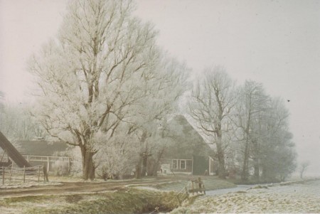 HVB FO 00264  Boerderij bij Wiertdijkje