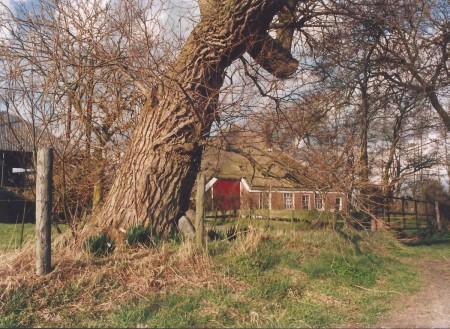 HVB FO 00478  Boerderij van Kaandorp, Zanegeest